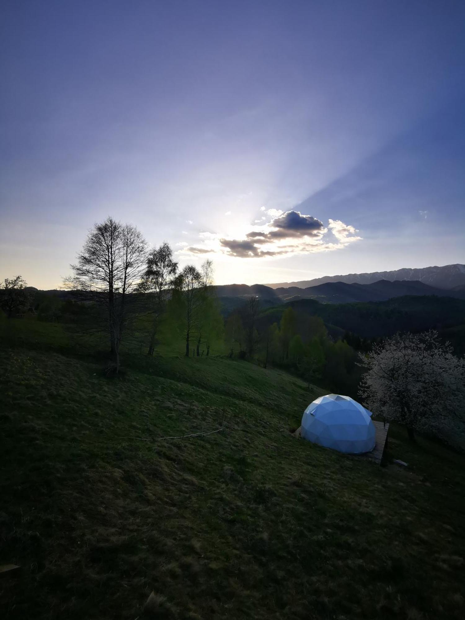 Hotel Glamping Zazen Drumu Carului Zewnętrze zdjęcie