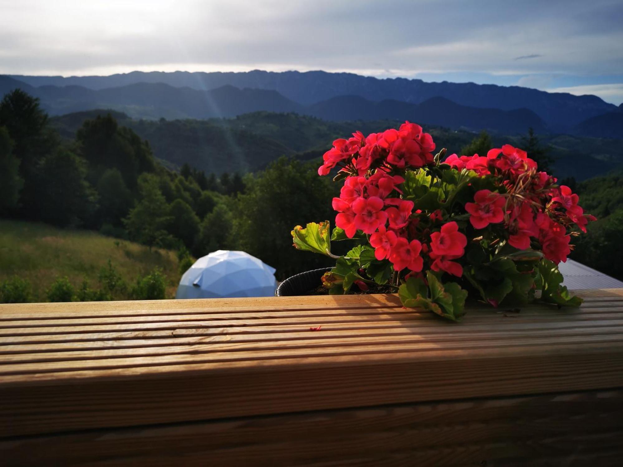 Hotel Glamping Zazen Drumu Carului Zewnętrze zdjęcie