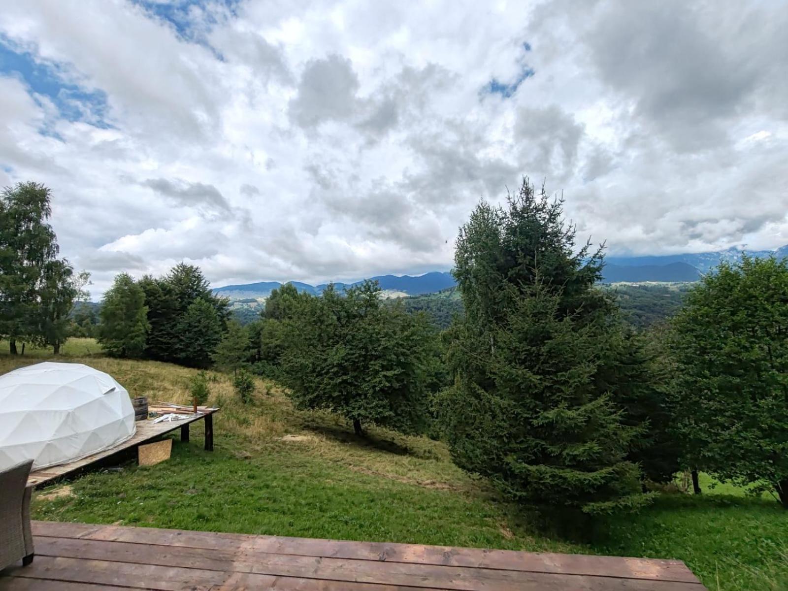 Hotel Glamping Zazen Drumu Carului Zewnętrze zdjęcie